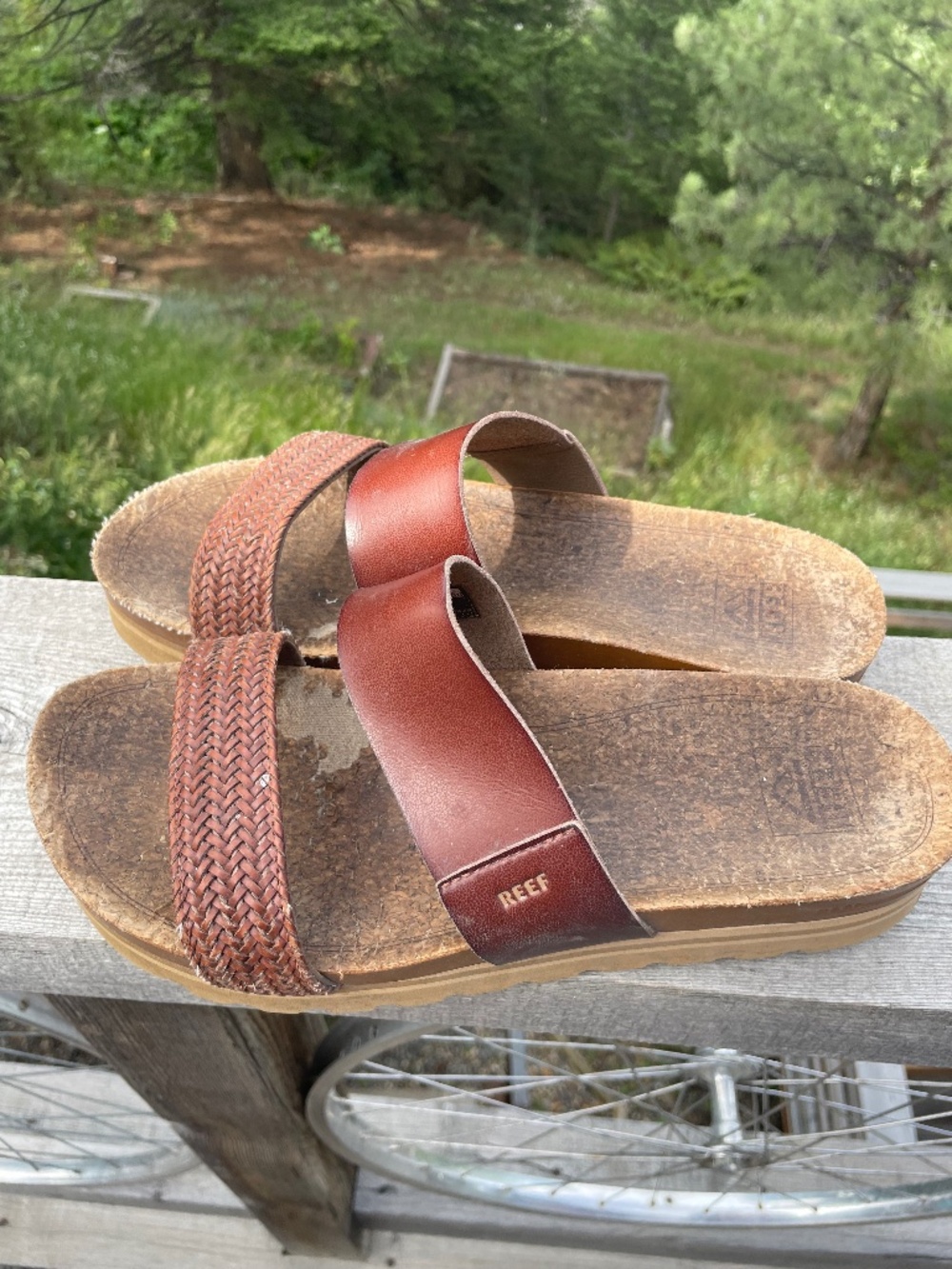 Reef Vista Sandals